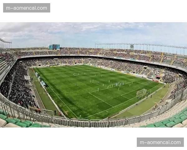 西甲联盟启动“未来之星”计划，资助百所基层社区足球场翻新